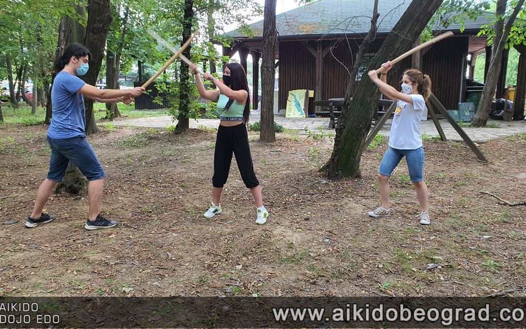 Aikido za vreme pandemije – proleće i leto 2020.g.